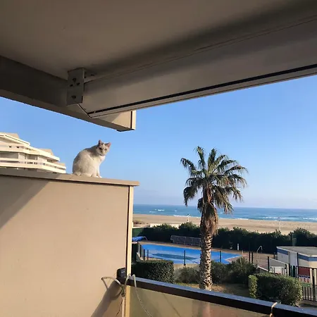 Appartement Bleu Indigo - T3- Terrasse- Vue Et Montagne - Piscine - Clim- Wifi -parking Canet-en-Roussillon