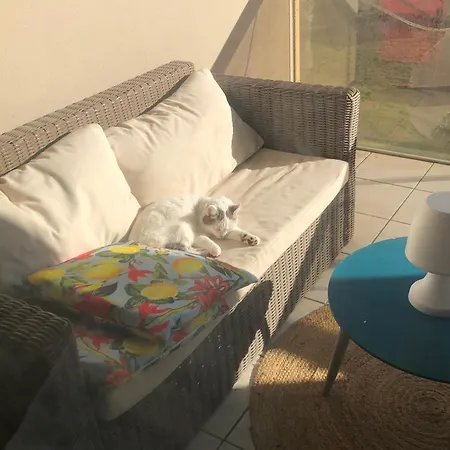 Bleu Indigo - T3- Terrasse- Vue Et Montagne - Piscine - Clim- Wifi -parking شقة