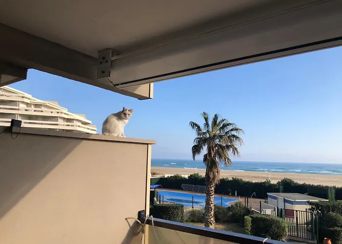 Apartment Bleu indigo - T3- Terrasse pleine mer - Piscine - Clim- Wifi -Parking Canet-en-Roussillon